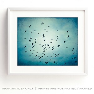 Fine art photography bird blue wall art print nature flock of birds flying photo black modern decor 11x14, 8x10 Photograph, Swarm image 3