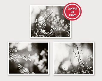 Black and White Botanical Photography Set - Modern Branch Wall Art (Set of 3)