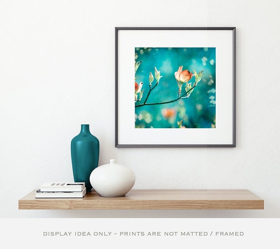 Teal Orange Dogwood Flower Photography Print – Botanical Wall Art