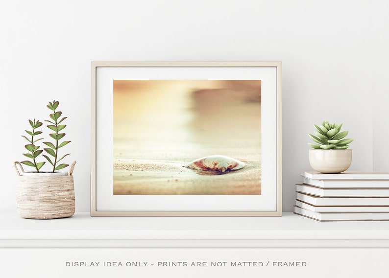 Seashell Print Beach Artwork Modern Coastal Decor, Shell Wall Art, Beach Photography in Gold, Peach, Orange, Beige, Cream image 2