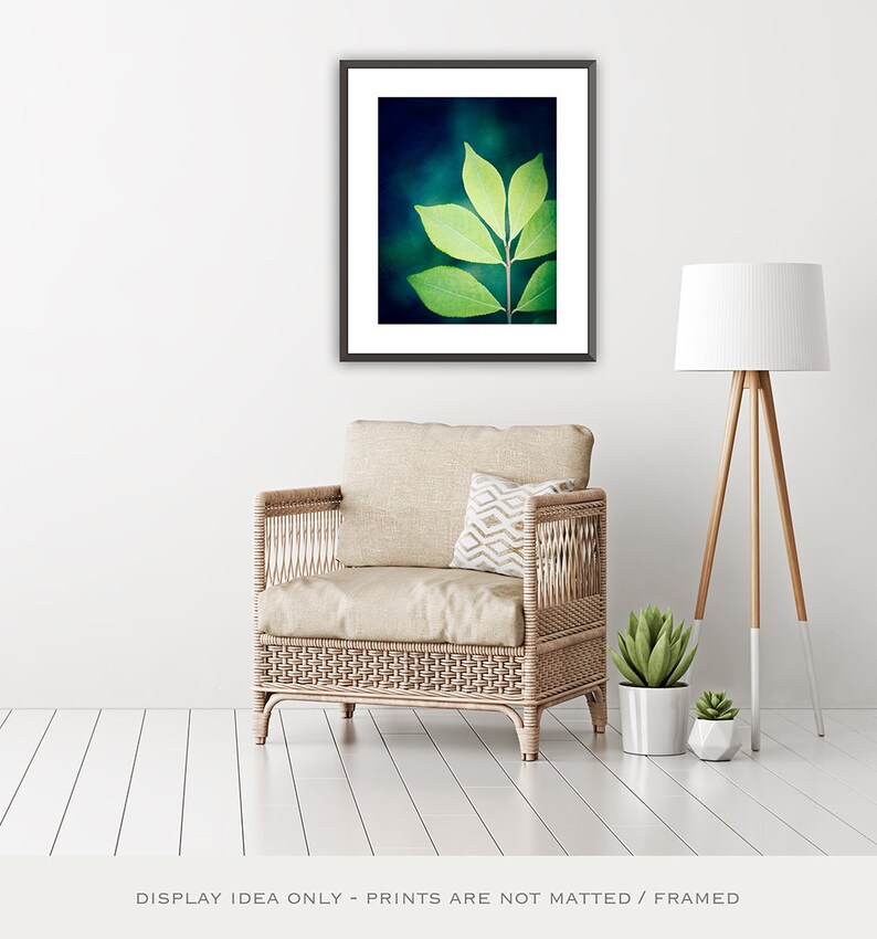 Art Prints Green Botanical Photo Leaf Photography Nature Etsy