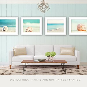 Beach Photography Set Four Photographs, seashell sea shell photo print seashore decor turquoise aqua teal blue wall art 11x14, 8x10, 5x7 image 2