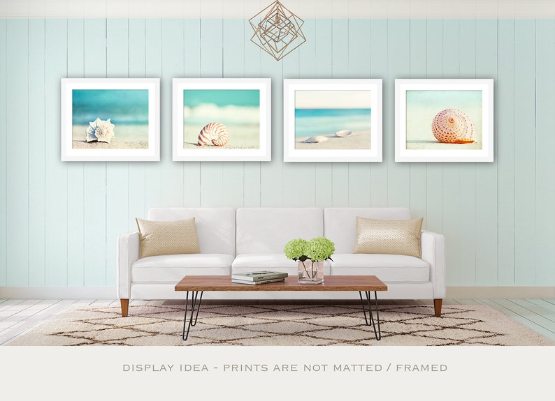 Beach Photography Set Four Photographs, seashell sea shell photo print seashore decor turquoise aqua teal blue wall art 11x14, 8x10, 5x7 image 2