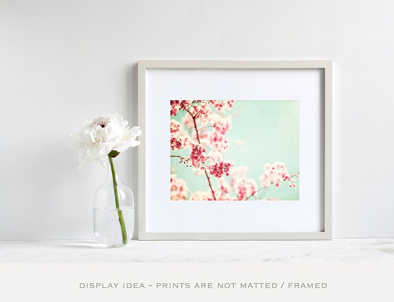 Mint Wall Art Pink Flower Photography Shabby Chic Wall Art Etsy