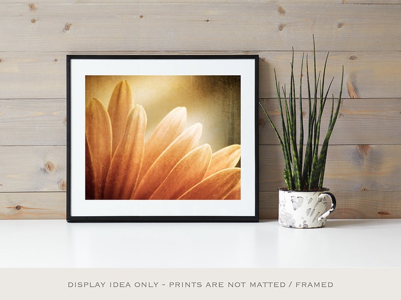 Burnt Orange Wall Art Modern Rustic Decor Rust Art Print Etsy