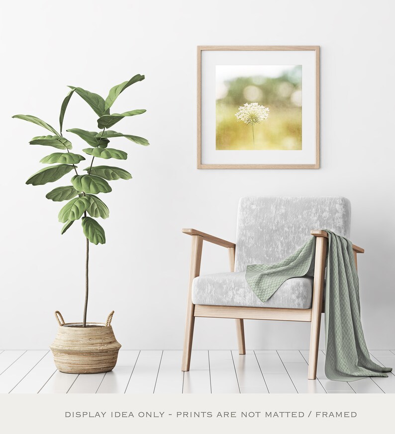 Yellow Large Nature Prints Country Artwork Botanical Photo Etsy