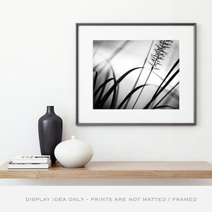 Black and White Nature Photography Botanical Print, Modern Wall Art, Grey Wall Decor, Original Artwork Abstract, Prints for Framing image 3