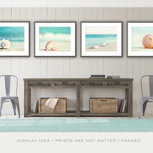 Beach Photography Set Four Photographs, seashell sea shell photo print seashore decor turquoise aqua teal blue wall art 11x14, 8x10, 5x7 image 8