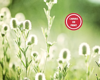 Botanical Photography Print - Green Weeds - Rustic Farmhouse Decor