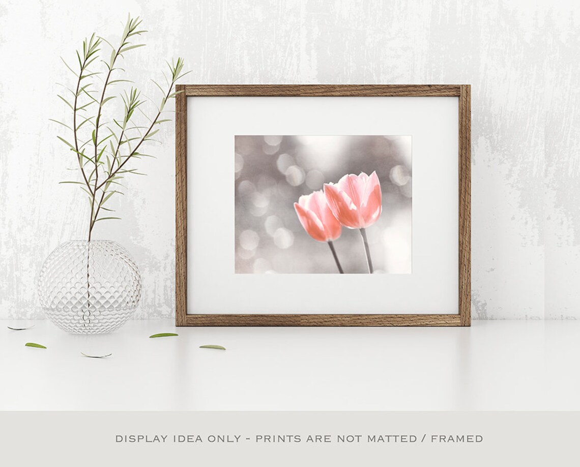 Peach Grey Photography peach nursery wall decor light peach Etsy