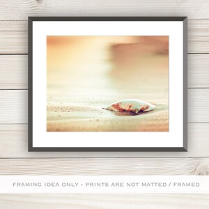 Seashell Print Beach Artwork Modern Coastal Decor, Shell Wall Art, Beach Photography in Gold, Peach, Orange, Beige, Cream image 3