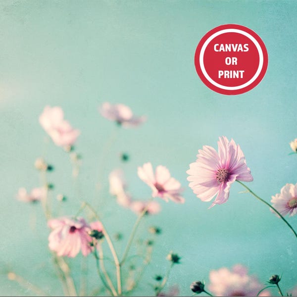 Pink Aqua Blue Flower Photography, Chic Pastel Floral Wall Art, Dreamy Nature Wall Art, Girl's Bedroom or Nursery Wall Decor, Canvas Wrap