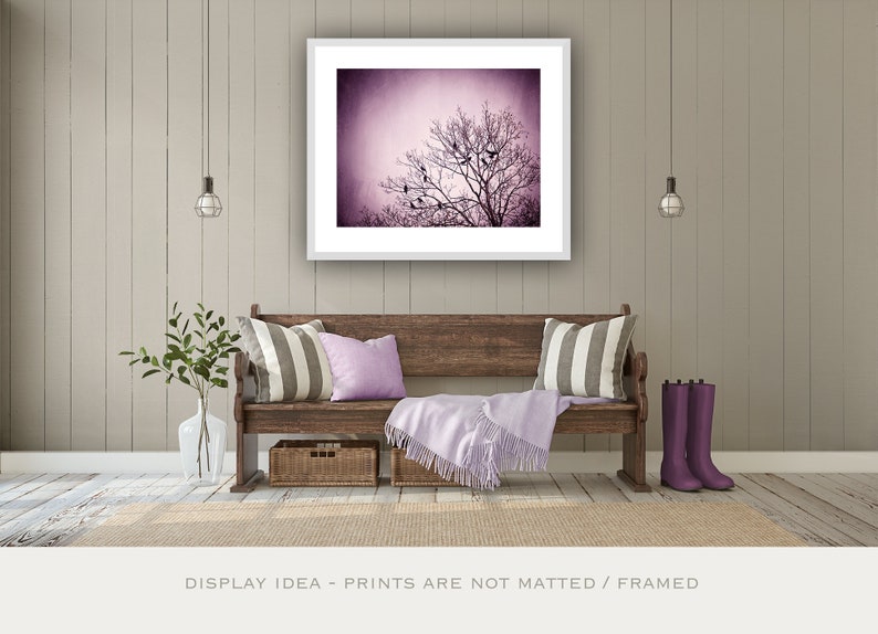 Purple Wall Art birds tree black dark wall art pink nature photo branches print modern decor 8x10 Photograph, Little Birds of the Night image 1