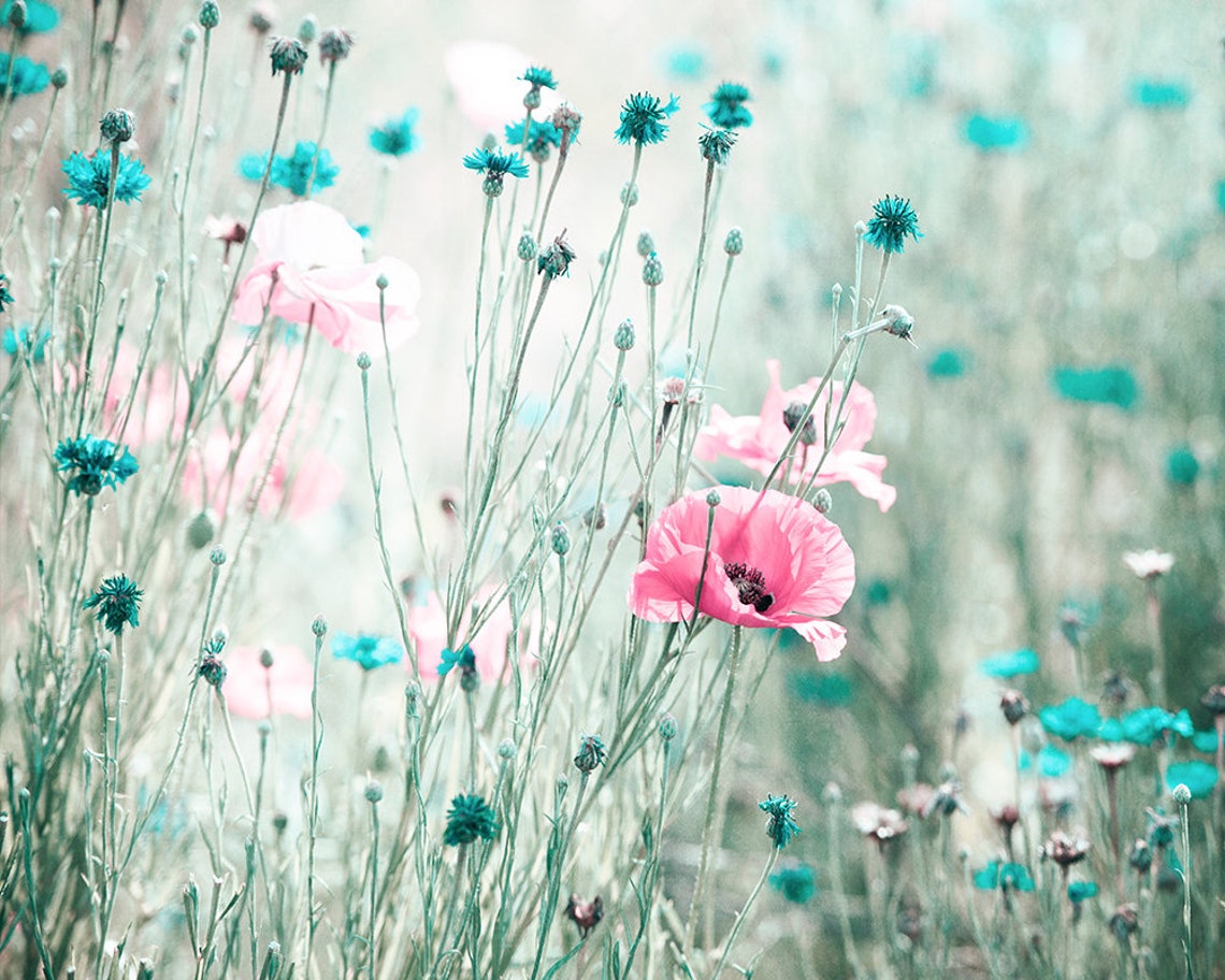 Pink Teal Aqua Turquoise Flower Canvas Photography Mint - Etsy