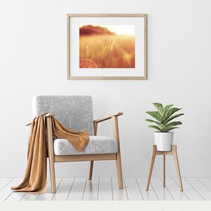 May include: A framed print of a sunlit field with tall grass, displayed above a gray armchair with a brown throw. A potted plant on a wooden stand sits nearby. The image is in a bright, warm color palette.