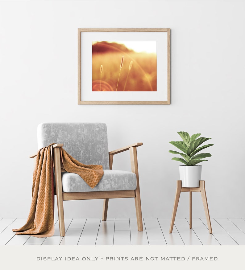 May include: A framed print of a sunlit field with tall grass, displayed above a gray armchair with a brown throw. A potted plant on a wooden stand sits nearby. The image is in a bright, warm color palette.