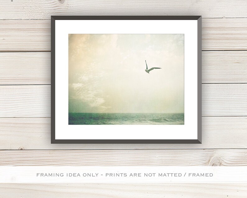 Coastal Artwork Seagull Print, Beach Home Decor, Beach Pictures, Coastal Cottage Decor, Light Green Beige image 5