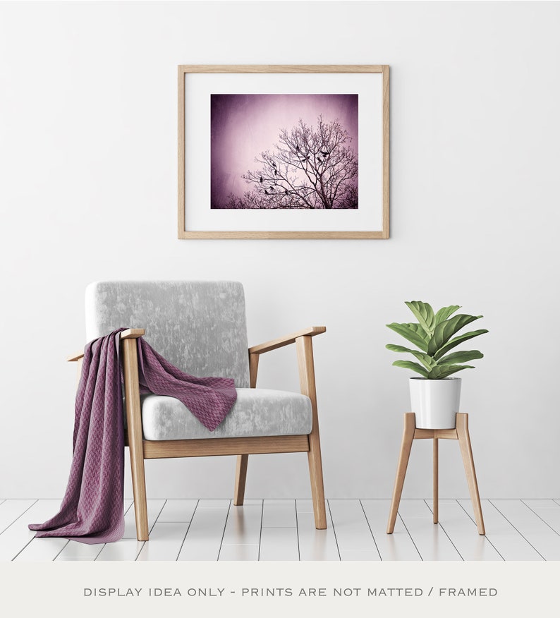 Purple Wall Art birds tree black dark wall art pink nature photo branches print modern decor 8x10 Photograph, Little Birds of the Night image 5