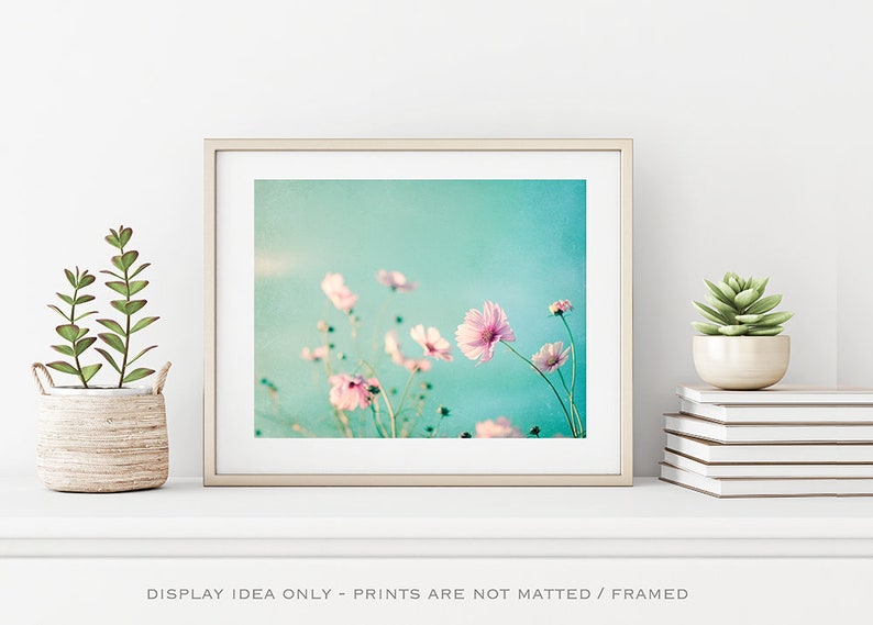 Flower Photography Aqua Blue Pink Wall Art Floral Photo Etsy