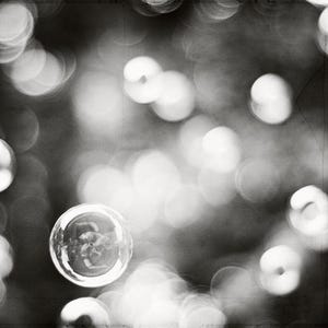 May include: Monochrome photograph with a shallow depth of field, showcasing blurred circular lights. A single, transparent bubble is in focus, reflecting its surroundings. The image has a vintage, grainy texture.