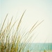 see more listings in the Beach, Sea Photography section