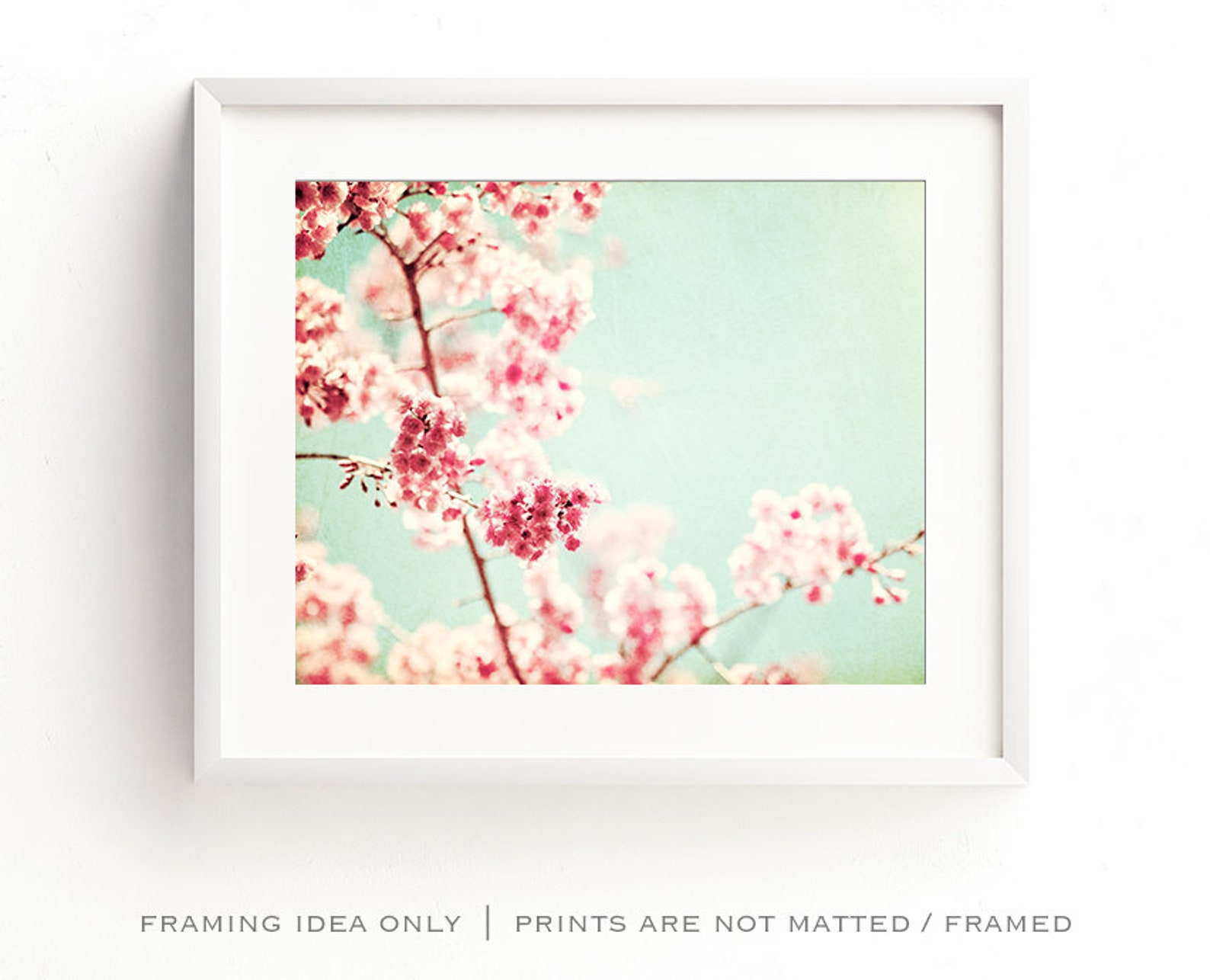 Mint Wall Art Pink Flower Photography Shabby Chic Wall Art Etsy