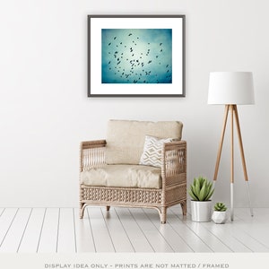 Fine art photography bird blue wall art print nature flock of birds flying photo black modern decor 11x14, 8x10 Photograph, Swarm image 6