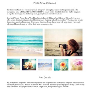 Puede incluir: La imagen muestra varias impresiones sin marco. Las impresiones presentan escenas costeras, flores y una persona tomando una foto. El texto "Prints Arrive Unframed" est&aacute; en la parte superior. Las impresiones est&aacute;n disponibles en tama&ntilde;os populares.
