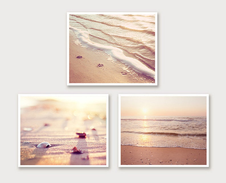 Beach Print Set Three Coastal Photographs ocean shells seashell beige neutral cream peach pink seashore sea shore wall art set Prints