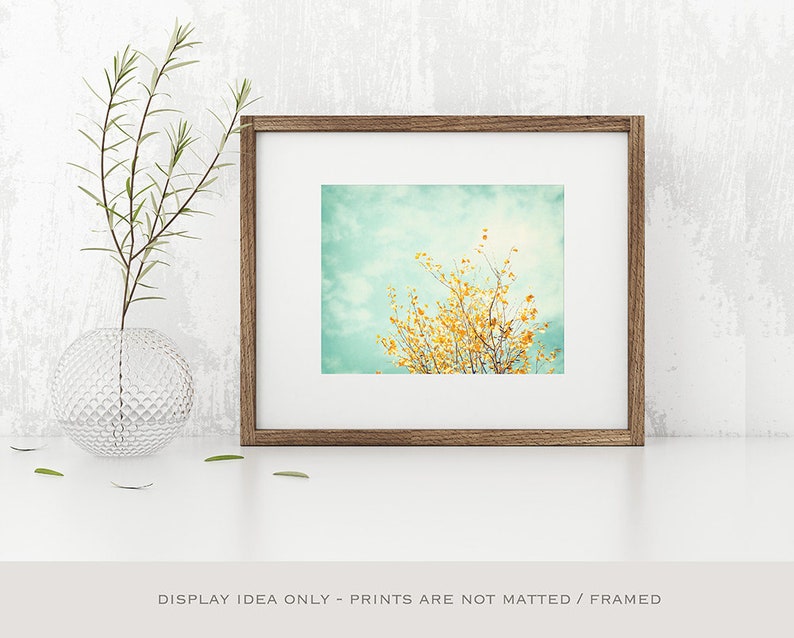 Nature Photo Print Woodland Wall Art Tree Print Yellow & Turquoise Wall Decor Modern Wall Prints Living Room Decor Gentle Whisper image 8