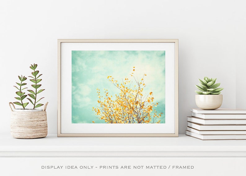 Nature Photo Print Woodland Wall Art Tree Print Yellow & Turquoise Wall Decor Modern Wall Prints Living Room Decor Gentle Whisper image 5