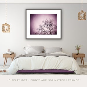 Purple Wall Art birds tree black dark wall art pink nature photo branches print modern decor 8x10 Photograph, Little Birds of the Night image 4