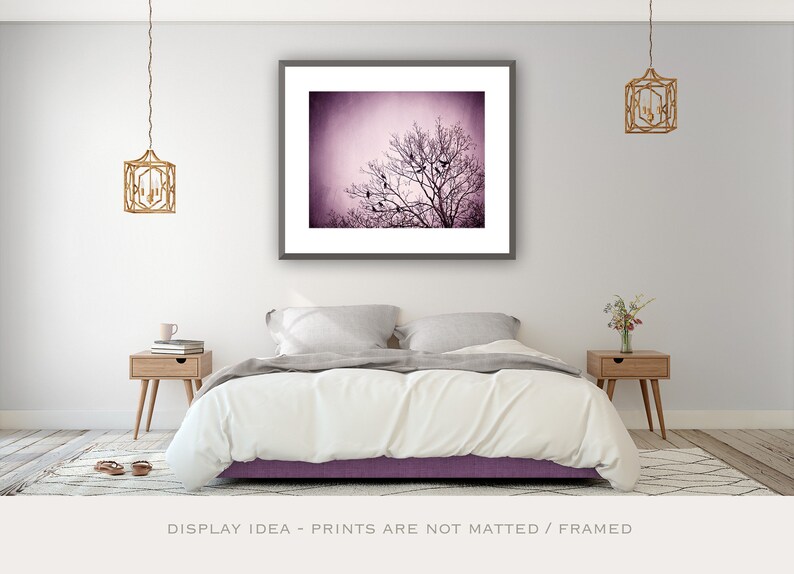 Purple Wall Art birds tree black dark wall art pink nature photo branches print modern decor 8x10 Photograph, Little Birds of the Night image 4