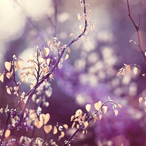 Pu&ograve; includere: Un'immagine a fuoco morbido di delicati rami con piccole foglie giallo pallido a forma di cuore. Lo sfondo &egrave; un misto sfocato di viola e bianco, che crea un'estetica naturale e sognante. L'immagine evoca un senso di primavera o inizio autunno.