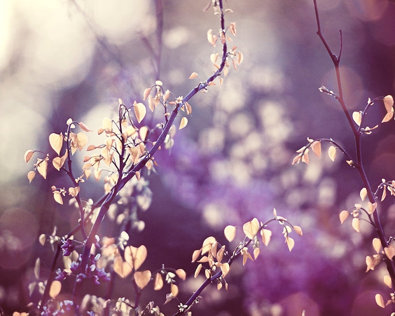 Pu&ograve; includere: Un'immagine a fuoco morbido di delicati rami con piccole foglie giallo pallido a forma di cuore. Lo sfondo &egrave; un misto sfocato di viola e bianco, che crea un'estetica naturale e sognante. L'immagine evoca un senso di primavera o inizio autunno.