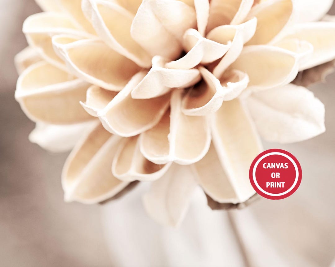 Cream Beige Floral Nature Wall Art, Neutral Wall Art, Light Pale