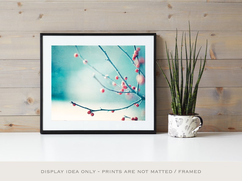 Winter Wall Art Christmas Decoration Botanical Print Nature Photography Prints in Blue and Red Holiday Decor image 6
