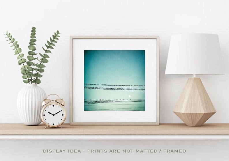 Birds on a Wire Print Nursery Wall Art Boy, Blue Nature Print, Minimalist Photography, Office Wall Art, Modern Home Decor image 1