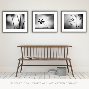 May include: Three framed black and white botanical prints hang above a wooden bench. The prints feature close-up images of plants. A book rests on the bench, and two gray storage containers sit below. The text at the bottom reads "DISPLAY IDEA - PRINTS ARE NOT MATTED / FRAMED."