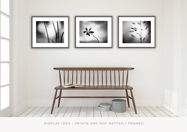 May include: Three framed black and white botanical prints hang above a wooden bench. The prints feature close-up images of plants. A book rests on the bench, and two gray storage containers sit below. The text at the bottom reads "DISPLAY IDEA - PRINTS ARE NOT MATTED / FRAMED."
