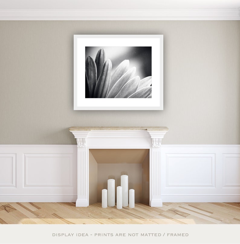 Bedroom Wall Art Over the Bed Black and White Nature Photography, Abstract Prints, Daisy Wall Art, Flower Wall Decor, Modern Print, Grey image 3