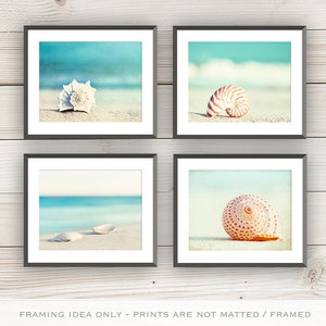 Beach Photography Set Four Photographs, seashell sea shell photo print seashore decor turquoise aqua teal blue wall art 11x14, 8x10, 5x7 image 3