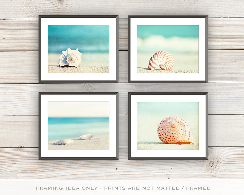 Beach Photography Set Four Photographs, seashell sea shell photo print seashore decor turquoise aqua teal blue wall art 11x14, 8x10, 5x7 image 3