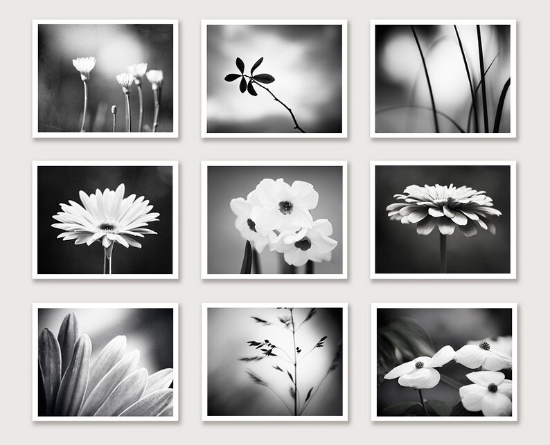 May include: Nine square framed black and white photographs of various flowers and plants. The images include close-ups of daisies, daffodils, and other floral arrangements, as well as shots of blades of grass and other natural elements.