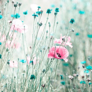 Pode incluir: Um close-up de um campo de papoilas cor-de-rosa e cent&aacute;ureas turquesas. As flores destacam-se num fundo suave e desfocado. A imagem apresenta caules verdes longos e finos, criando uma cena natural e sonhadora. O efeito geral &eacute; leve e arejado.