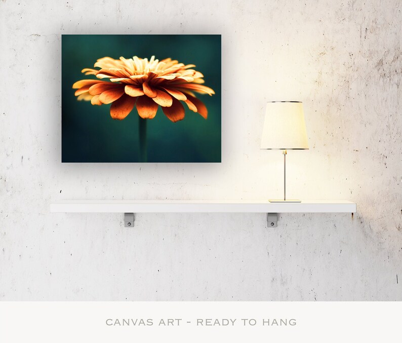 Burnt Orange Wall Art Canvas Prints Teal Pictures Flower Photography Nature Modern Rustic Decor Dark Turquoise Art Botanical Photo