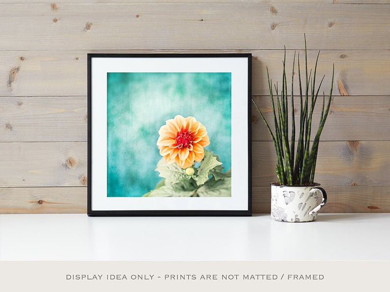 May include: A framed print featuring an orange dahlia flower with a red center against a teal background. The print is displayed on a white surface with a potted snake plant. The text at the bottom reads "DISPLAY IDEA ONLY - PRINTS ARE NOT MATTED / FRAMED."