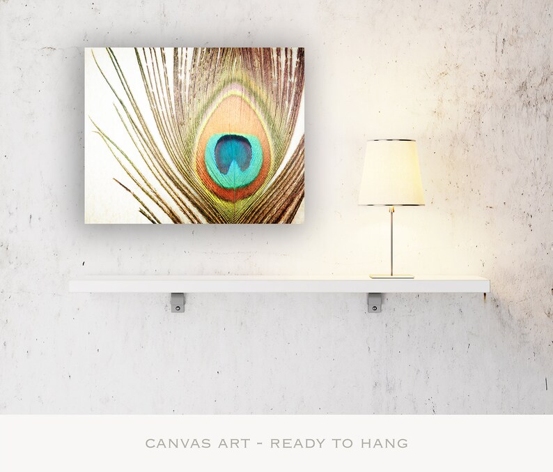 Peacock Wall Art Canvas, Modern Rustic Decor, Feather Wall Art, Farmhouse Photography Nature, Country Artwork, Brown Orange, Teal Turquoise image 5