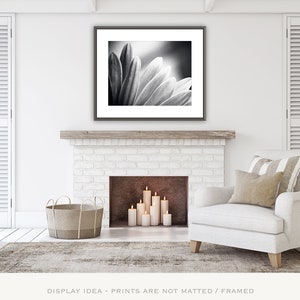 Bedroom Wall Art Over the Bed Black and White Nature Photography, Abstract Prints, Daisy Wall Art, Flower Wall Decor, Modern Print, Grey image 5