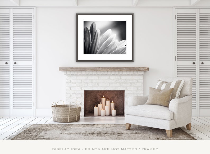 Bedroom Wall Art Over the Bed Black and White Nature Photography, Abstract Prints, Daisy Wall Art, Flower Wall Decor, Modern Print, Grey image 5